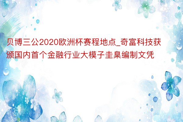 贝博三公2020欧洲杯赛程地点_奇富科技获颁国内首个金融行业大模子圭臬编制文凭