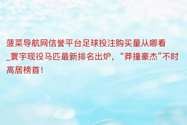 菠菜导航网信誉平台足球投注购买量从哪看_寰宇现役马匹最新排名出炉，“莽撞豪杰”不时高居榜首！