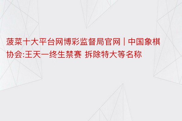 菠菜十大平台网博彩监督局官网 | 中国象棋协会:王天一终生禁赛 拆除特大等名称